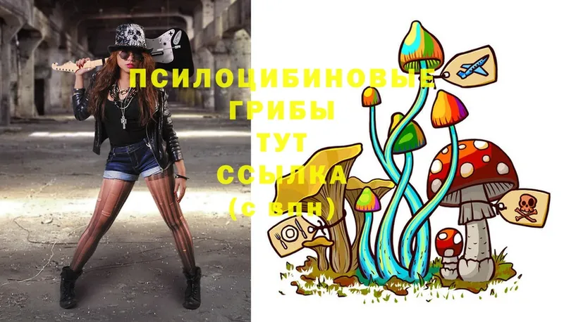 Псилоцибиновые грибы MAGIC MUSHROOMS  Наволоки 